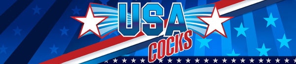 Adult Toys UK | Vibrators, Dildos & Bondage Kits 53 usa-cocks_600x130.jpg