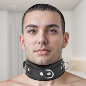 Strict Leather Premium Locking Collar